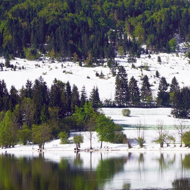 Frühlingslandschaft