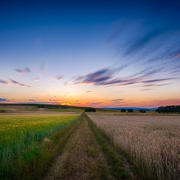 Sommerlandschaft